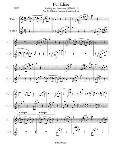 Fur Elise (Flute Duet)