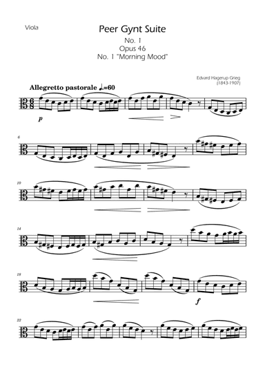 Morning Mood - Viola Solo