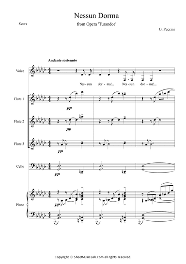 Nessun Dorma (Opera Turandot aria) in Gb