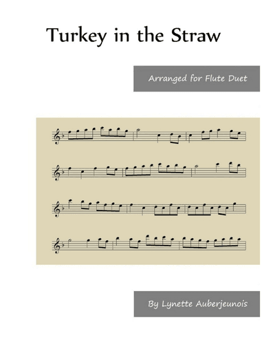 Turkey in the Straw - Flute Duet