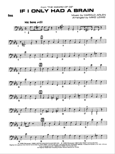 If I Only Had a Brain: String Bass