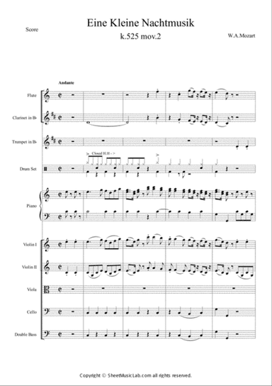 Serenade No.13 "Eine Kleine Nachtmusik" in G major, K.525 2.Andante