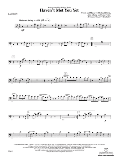 Haven't Met You Yet: Bassoon