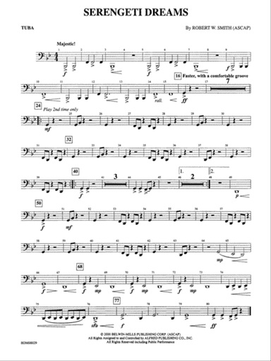 Serengeti Dreams: Tuba