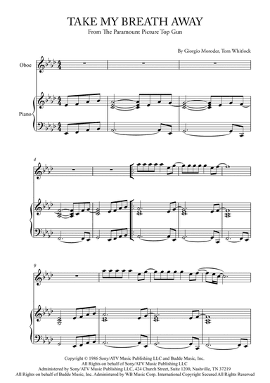 Take My Breath Away (love Theme)