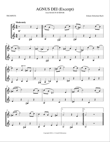 Agnus Dei (from Mass in B Minor)