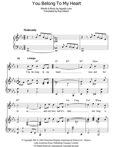 You Belong To My Heart (Solamente Una Vez)