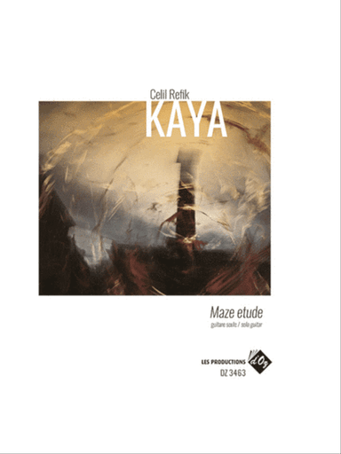 Maze Etude