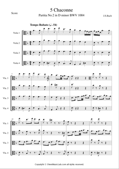 Chaconne from Partita in D Minor BWV 1004