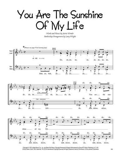 You Are The Sunshine Of My Life