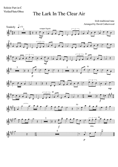 The Lark in the Clear Air - Irish Traditional tune for soloist and piano accompaniment