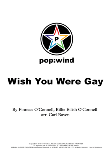 Wish You Were Gay