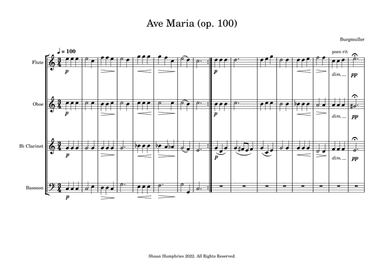 Ave Maria (Op.100)