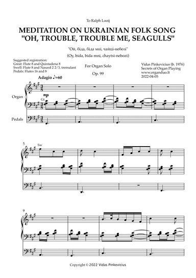 Meditation on Ukrainian Folk Song "Oh, Trouble, Trouble, Me, Seagulls", Op. 99 (Organ Solo)