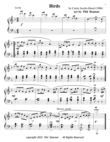 Birds - piano solo