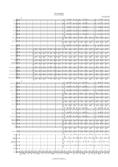 Pra Caramba! (concert band)
