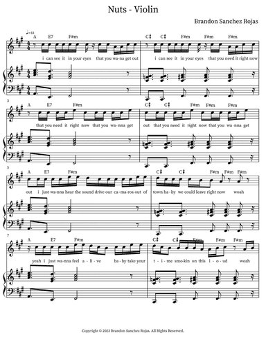 Nuts - Violin