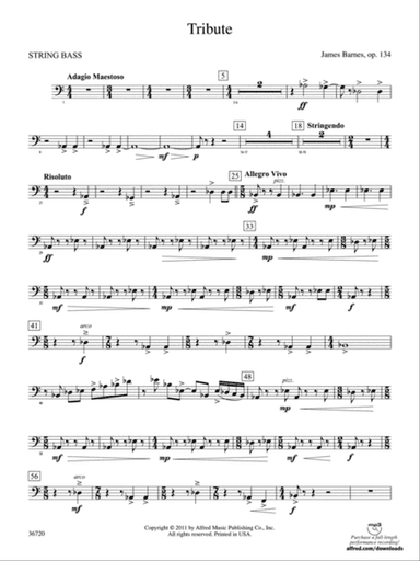 Tribute: String Bass