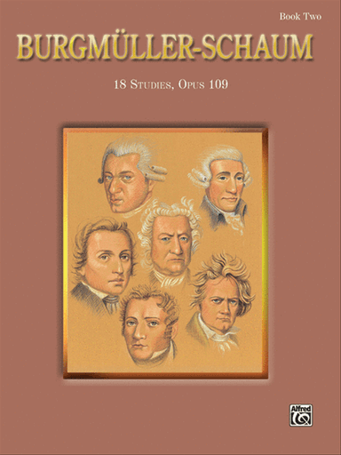 BurgmA1/4ller-Schuam, Book 2