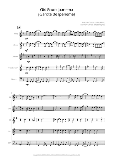 The Girl From Ipanema (garôta De Ipanema)
