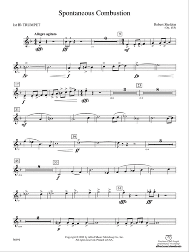 Spontaneous Combustion: 1st B-flat Trumpet
