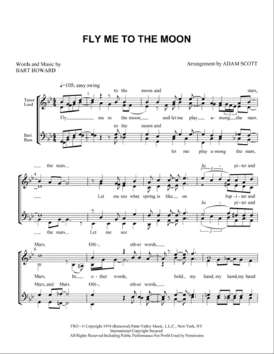 Fly Me To The Moon (in Other Words)