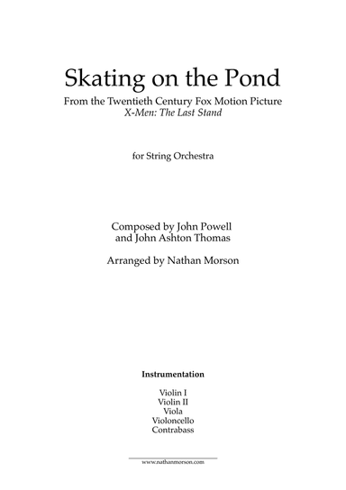 Skating On The Pond