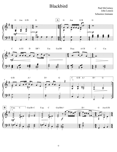 Blackbird