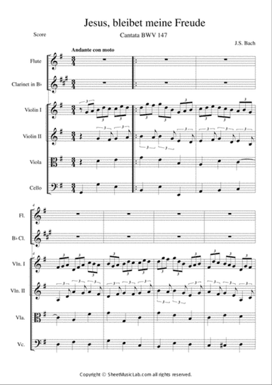 Jesus Bleibet Meine Freude (Choral From Cantata BWV 147)