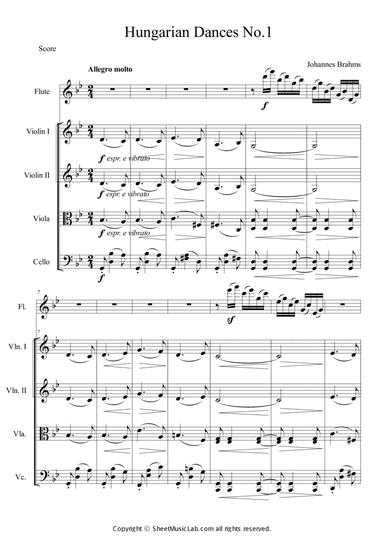 Hungarian Dances No.1 in G minor, Allegro molto
