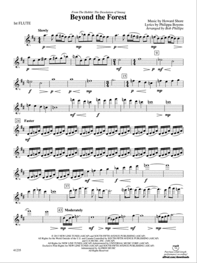 Beyond the Forest (from The Hobbit: The Desolation of Smaug): Flute