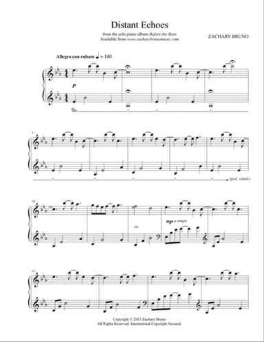 Distant Echoes - Zachary Bruno