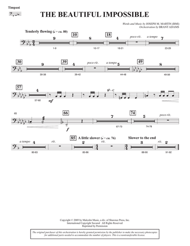 The Beautiful Impossible - Timpani