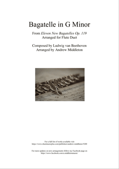 Bagatelle in G Minor arranged for Flute Duet