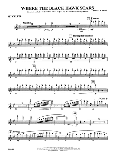 Where the Black Hawk Soars: Flute