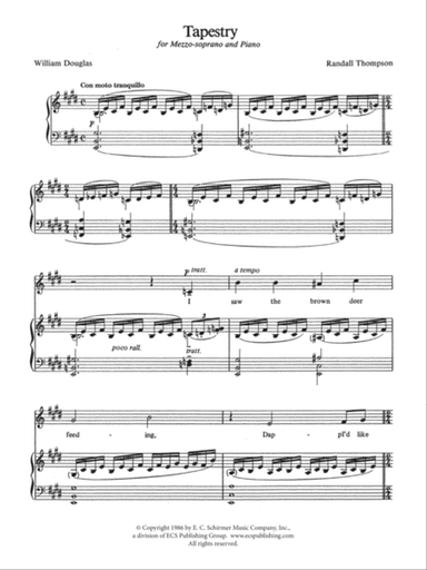 Tapestry (Downloadable)