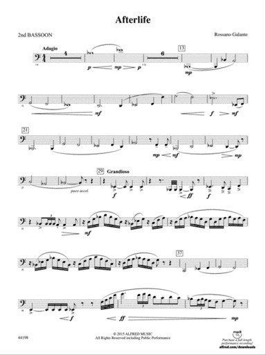 Afterlife: 2nd Bassoon