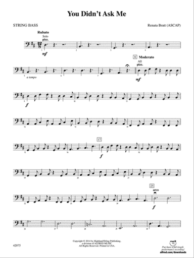 You Didn't Ask Me: String Bass