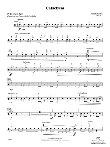 Cataclysm: 2nd Percussion