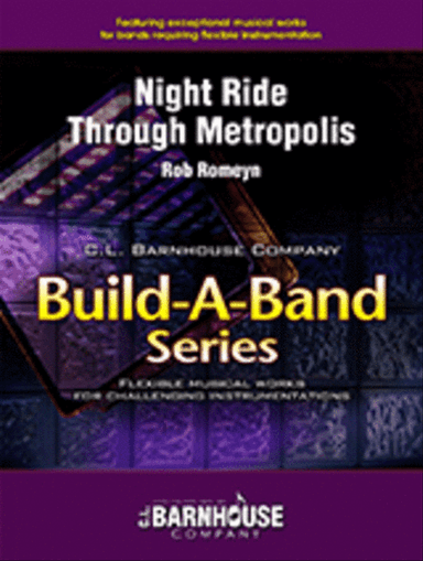 Night Ride Through Metropolis