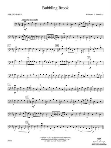 Bubbling Brook: String Bass