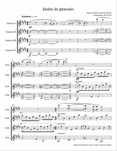 Jardín de girasoles (Sunflower´s Garden)