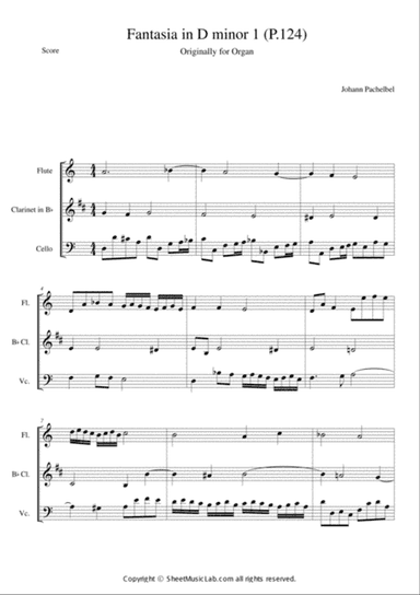 Fantasia in D minor 1 (P.124)