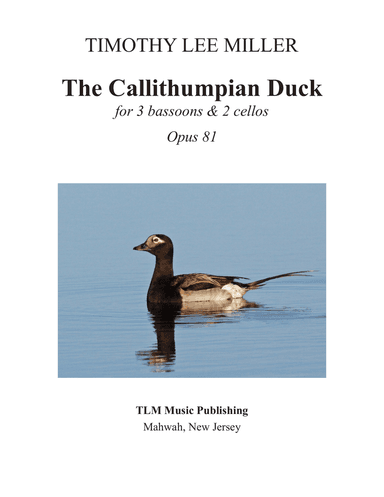 The Callithumpian Duck