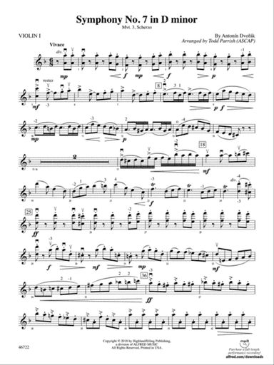 Symphony No. 7 in D Minor: 1st Violin