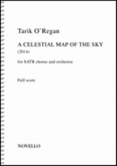Celestial Map of the Sky