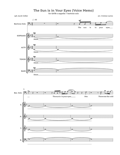 The Sun Is In Your Eyes (voice Memo)