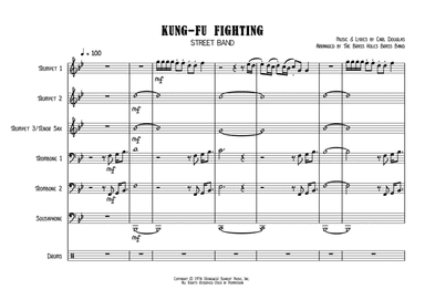 Kung Fu Fighting