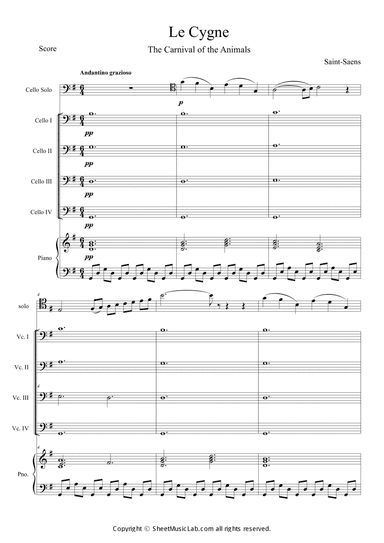 Le Cygne (Le Carnaval des Animaux)