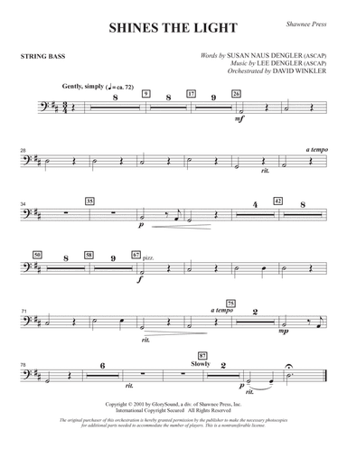 Shines The Light - String Bass